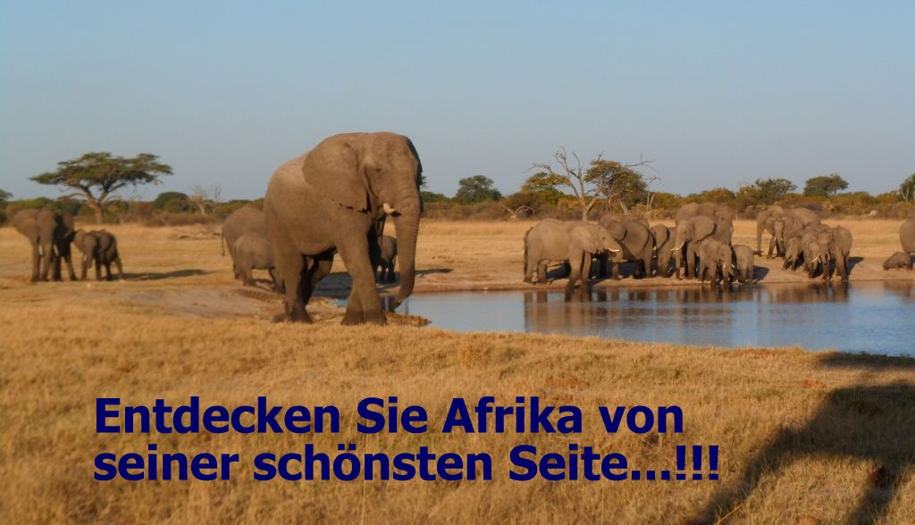 12 Tage die faszinierende Tierwelt Südafrikas schon ab 1599 Euro erleben