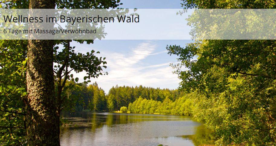 6 Tage Wellness im Bayrischer Wald inkl HP ab 169 Euro
